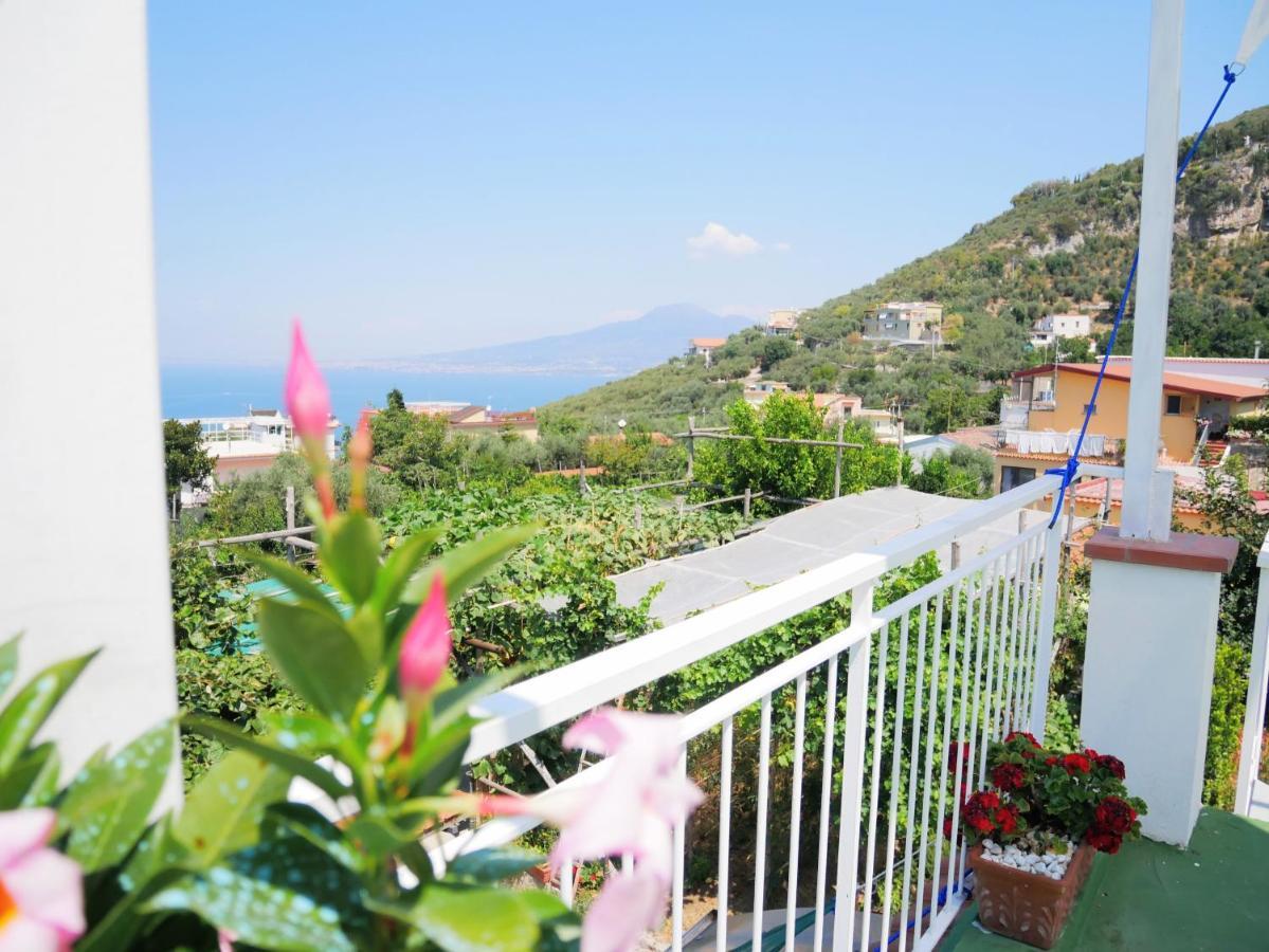 Olindo Apartment E Cristina Apartments Vico Equense Buitenkant foto